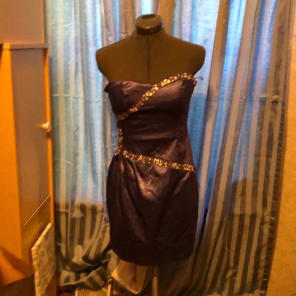 A nice dress for dances